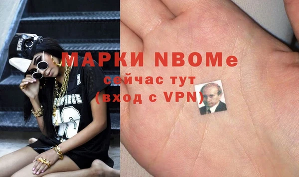 прущие грибы Покровск
