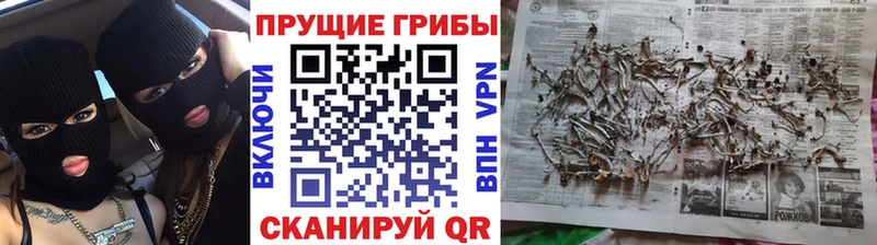 гидра сайты даркнета как зайти Галлюциногенные грибы Magic Shrooms Кизилюрт