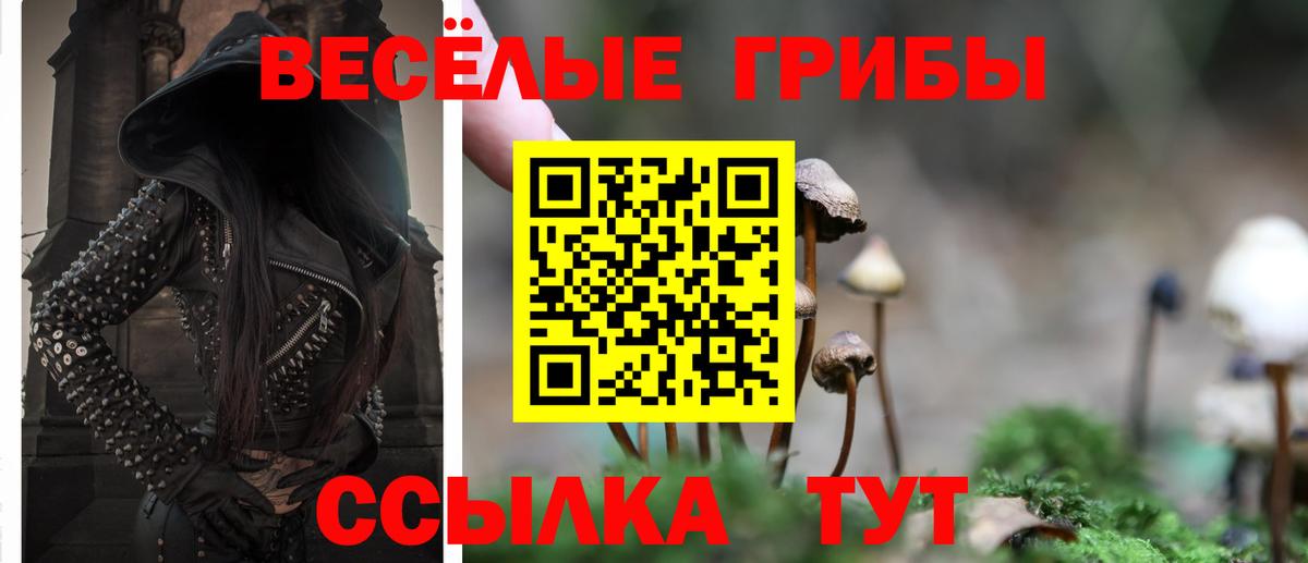 Псилоцибиновые грибы Cubensis Кизилюрт