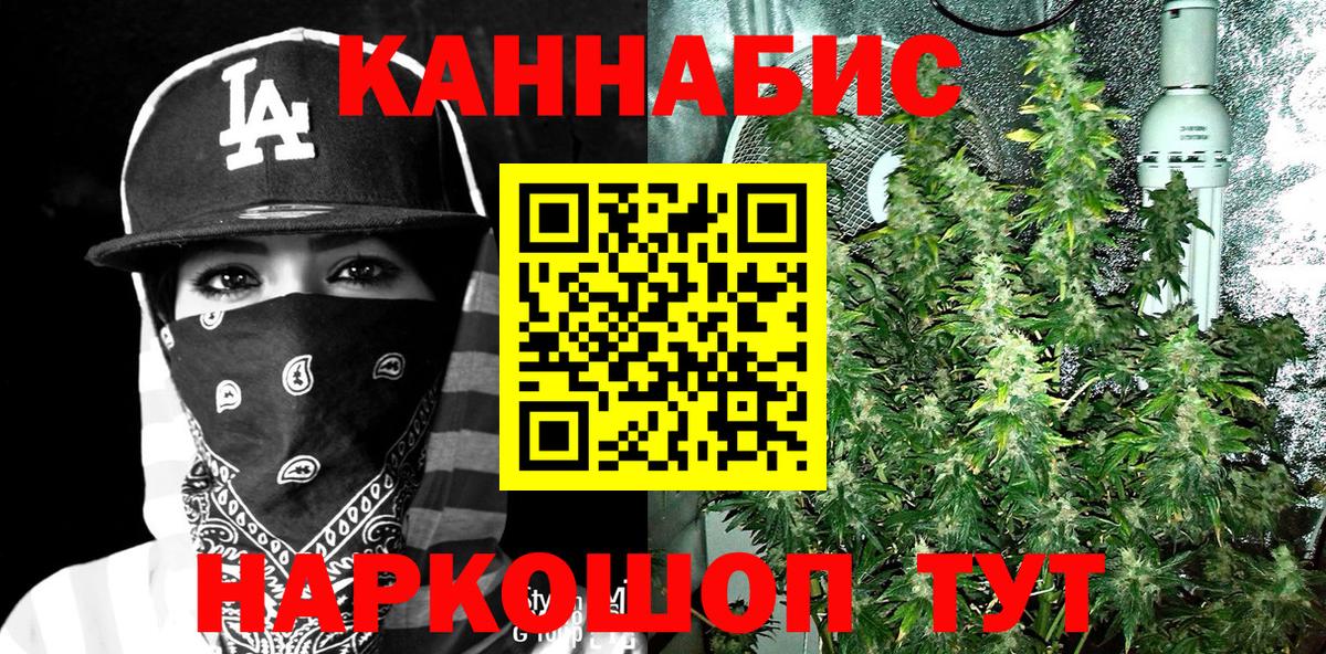 Марихуана Bruce Banner Кизилюрт